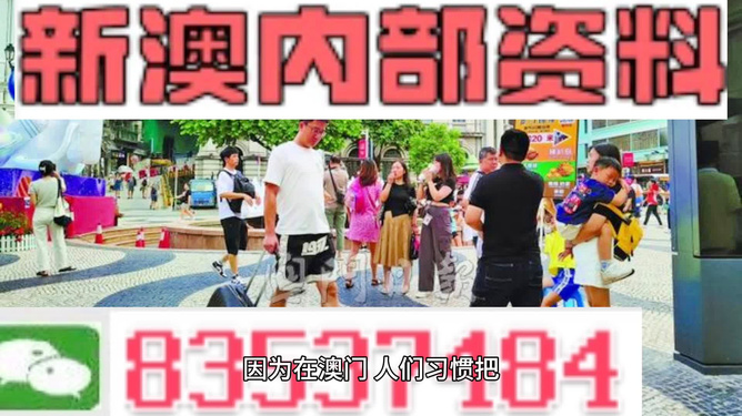 2024澳门精准正版免费资料大全,精选资料解析大全高端版230.350