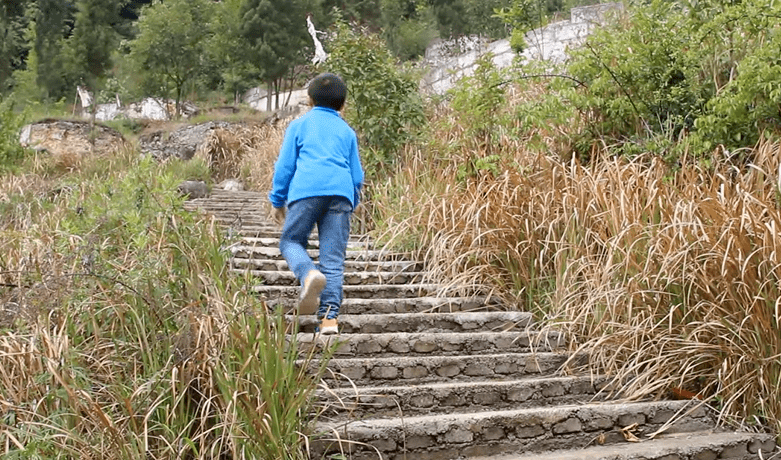 五个月大的孩子，成长之路的奇迹与感动