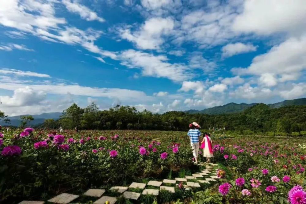 广东汇森药业有限公司，引领医药行业，铸就健康未来