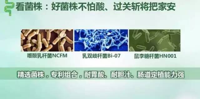 广东省安络化纤胶囊，传统与现代的结合，为健康保驾护航