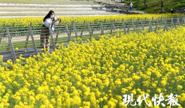 江苏春意科技，引领科技创新，塑造美好未来