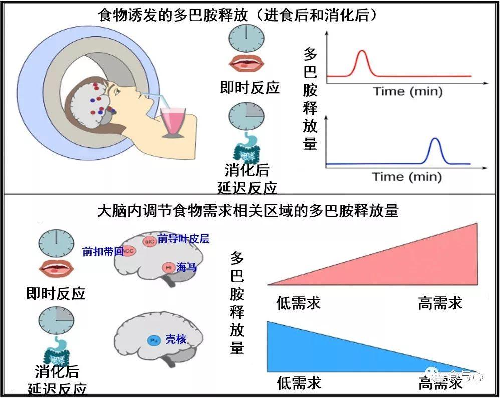 八个月宝宝厌食怎么办？全面解析宝宝厌食原因与应对策略