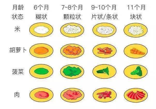 三个月婴儿辅食添加的初步探讨